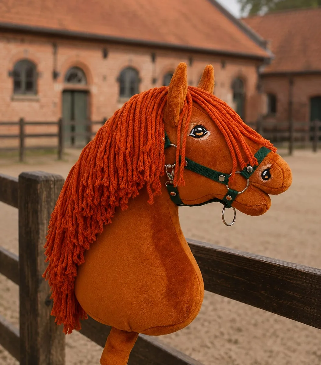 Žirgas ant lazdos „Super Hobby Horse Premium“, sartas žirgas A3