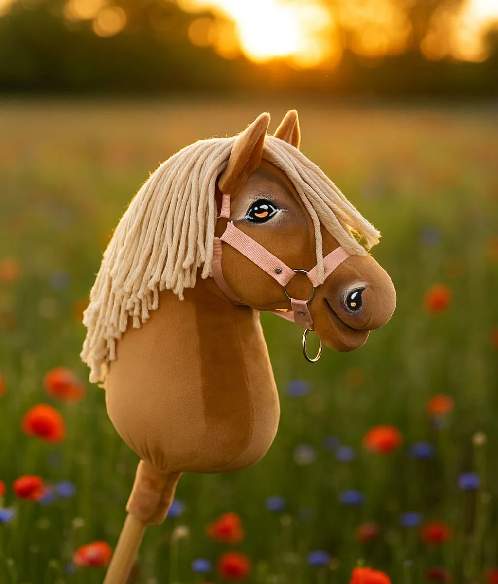 Žirgas ant lazdos „Super Hobby Horse Premium“, palomino žirgas A3