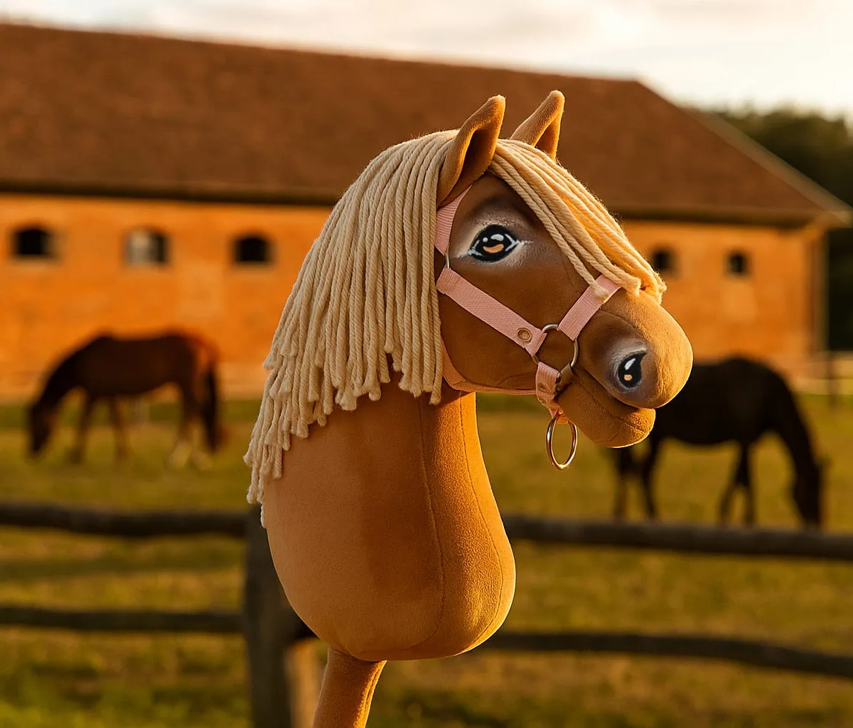 Žirgas ant lazdos „Super Hobby Horse Premium“, palomino žirgas A3