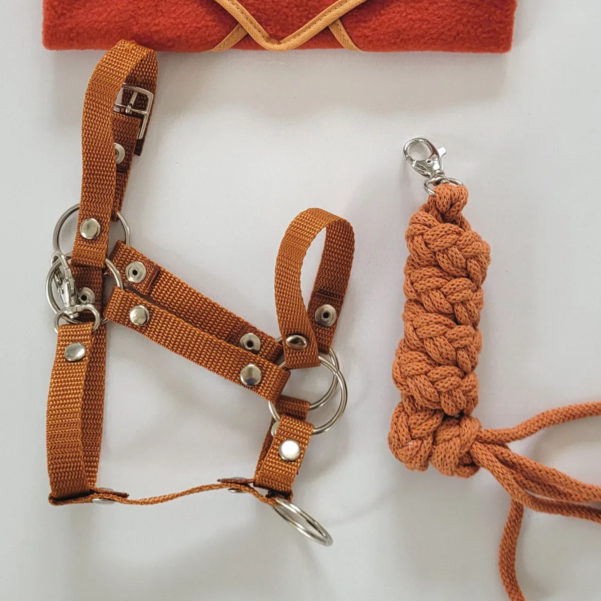 Rinkinys „Hobby Horse“ žirgui: apynasris A3 ir virvinis pavadis, spalvos: geltona, juoda ir kitos
