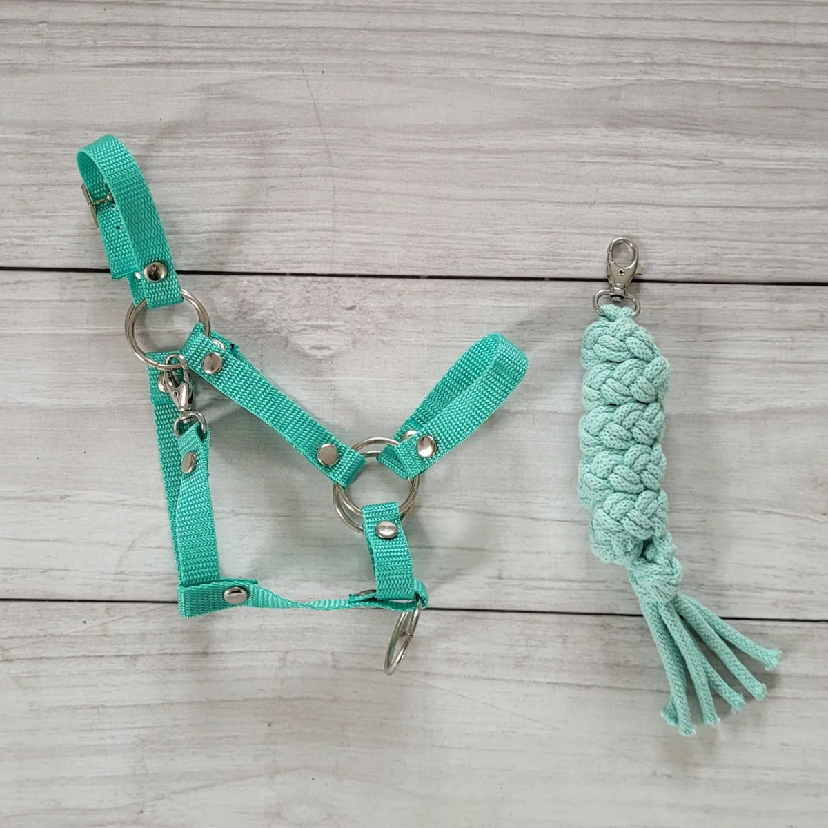 Rinkinys „Hobby Horse“ žirgui: apynasris A3 ir virvinis pavadis, spalva: žalia