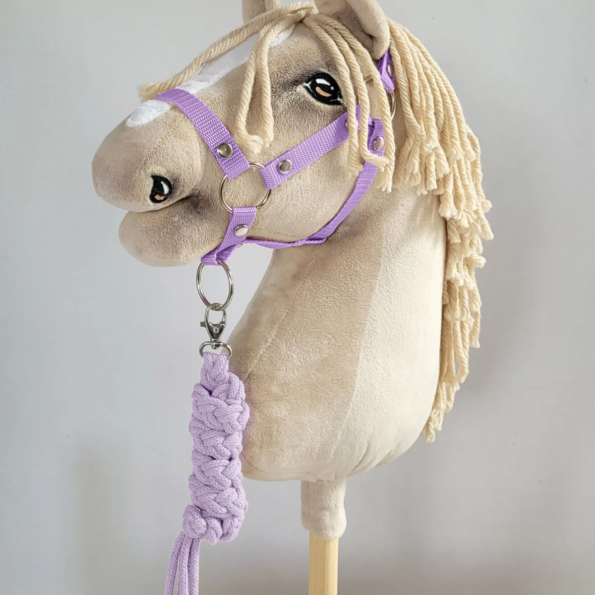 Pavadis „Hobby Horse“ žirgui iš dvigubos virvės, spalvos: violetinė ir žalia