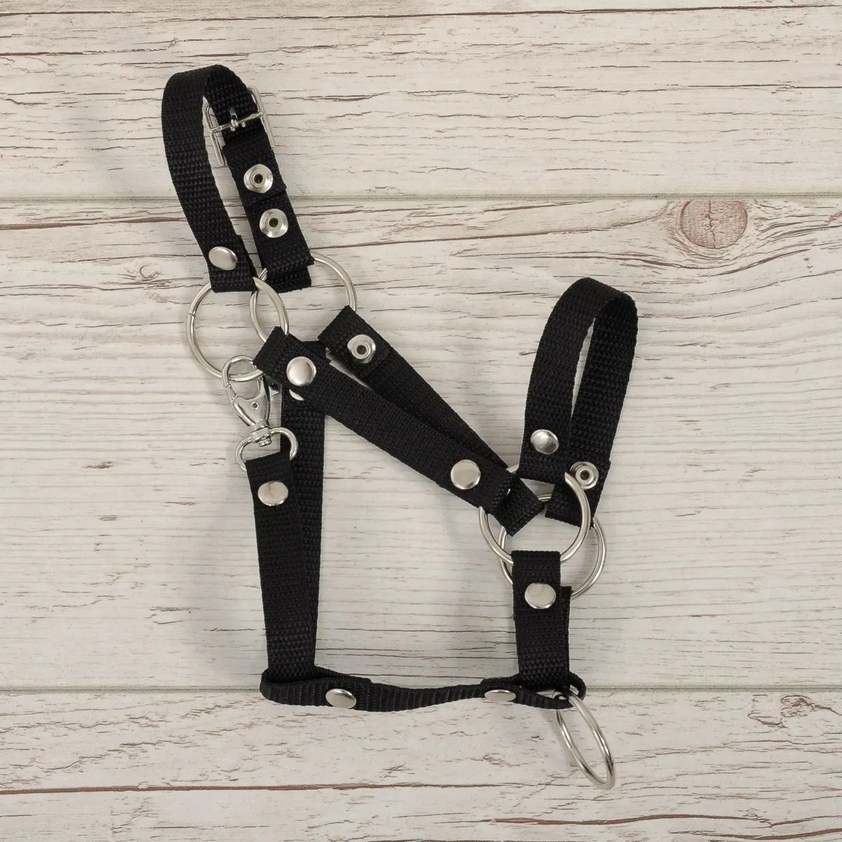 Reguliuojamas apynasris „Hobby Horse“ žirgui A3, spalva: juoda