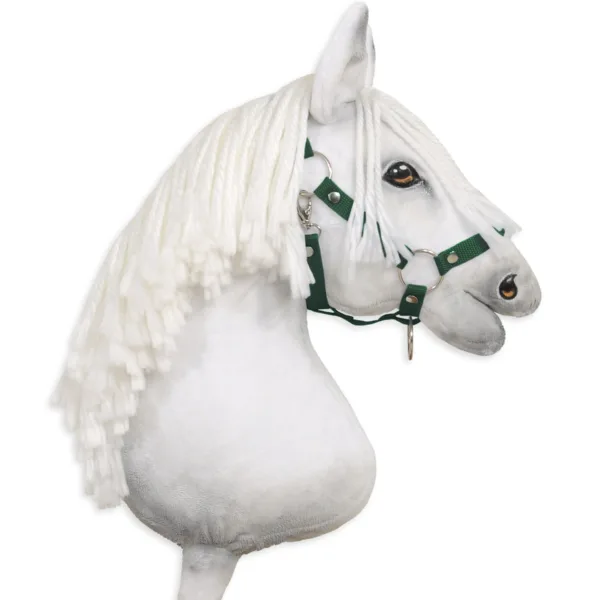 Reguliuojamas apynasris „Hobby Horse“ žirgui A3, spalvos: violetinė ir žalia - Butelio žalia