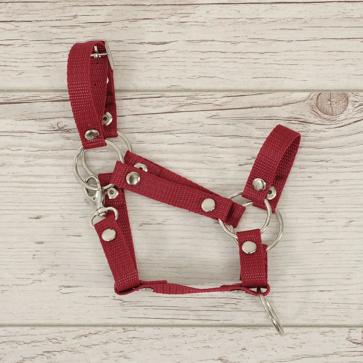 Reguliuojamas apynasris „Hobby Horse“ žirgui A3, spalva: bordo