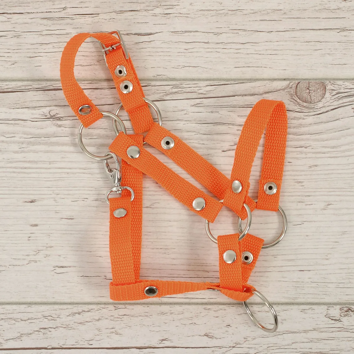 Reguliuojamas apynasris „Hobby Horse“ žirgui A3, spalva: oranžinė