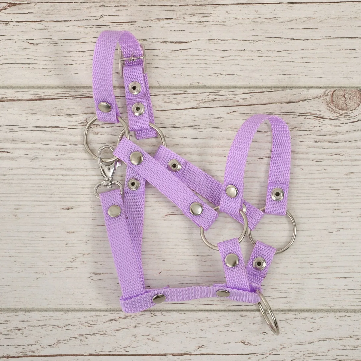 Reguliuojamas apynasris „Hobby Horse“ žirgui A3, spalva: violetinė