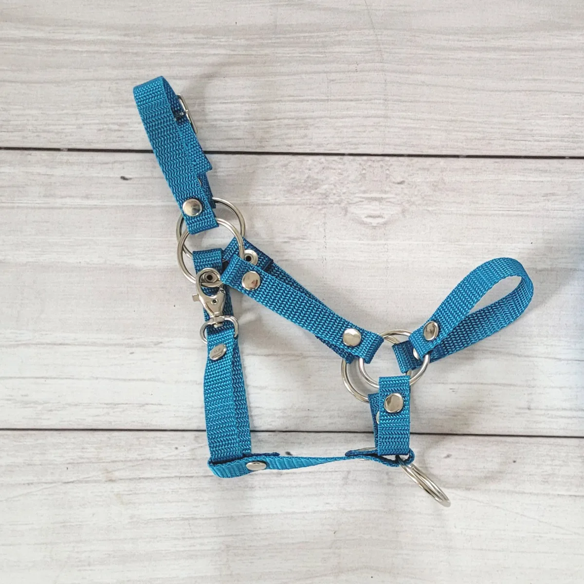 Reguliuojamas apynasris „Hobby Horse“ žirgui A3, spalva: turkio